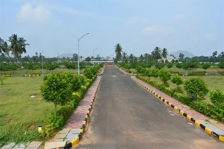 Tree-Lined Internal Roads